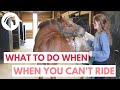 Things to Do With Your Horse When You Can't Ride