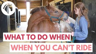 Things to Do With Your Horse When You Can't Ride