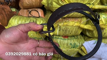 Đại lý BẪY CẠM KIỀNG lớn nhất MIỀN BẮC.14cm 18k,16 giá 23k ( có bàn đạp luôn)