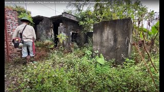 Overgrown houses are dangerous, cutting down trees is a challenge | Overwhelmed the abandoned house
