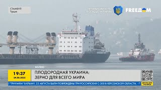 Украинское зерно: как Одесса стала маяком надежды для мира