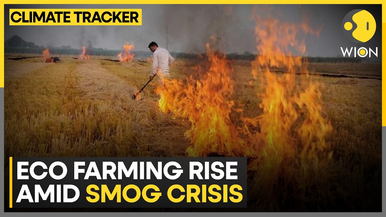Thailand Seeks Cleaner Farming Solutions | WION Climate Tracker - YouTube