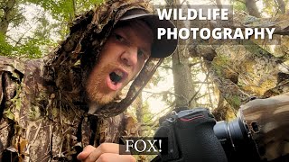 I DID NOT EXPECT THIS!! || Wildlife photography || Nikon Z6 + 500mm f4 vr