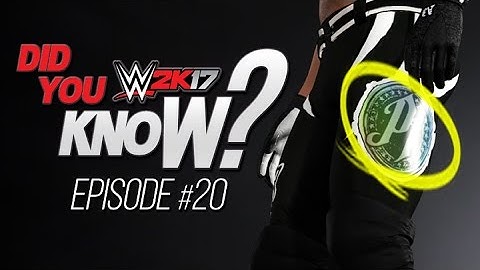 WWE 2K17 Did You Know? Grounded Forearm, Custom Logo Materials & More! (Episode 20)