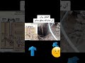 الطفل ريان يارب نجيه 
