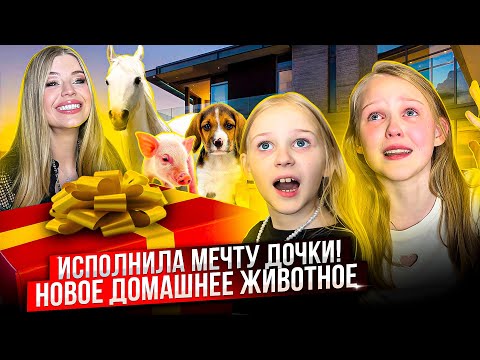 ИСПОЛНИЛА МЕЧТУ ДОЧКИ ! НОВОЕ ДОМАШНЕЕ ЖИВОТНОЕ !