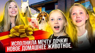 ИСПОЛНИЛА МЕЧТУ ДОЧКИ ! НОВОЕ ДОМАШНЕЕ ЖИВОТНОЕ !