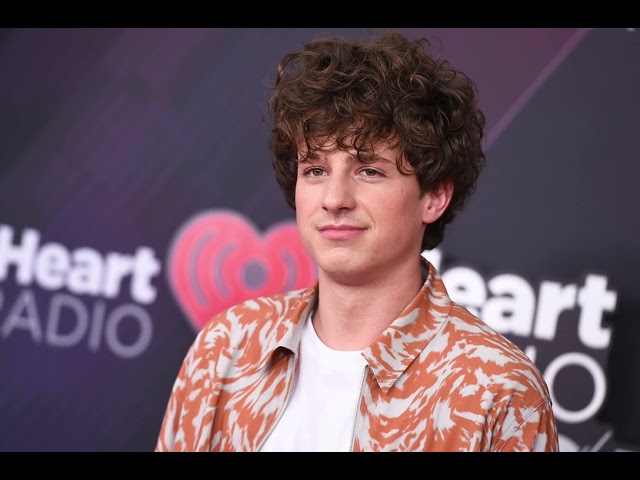 Charlie Puth - Picture Perfect class=