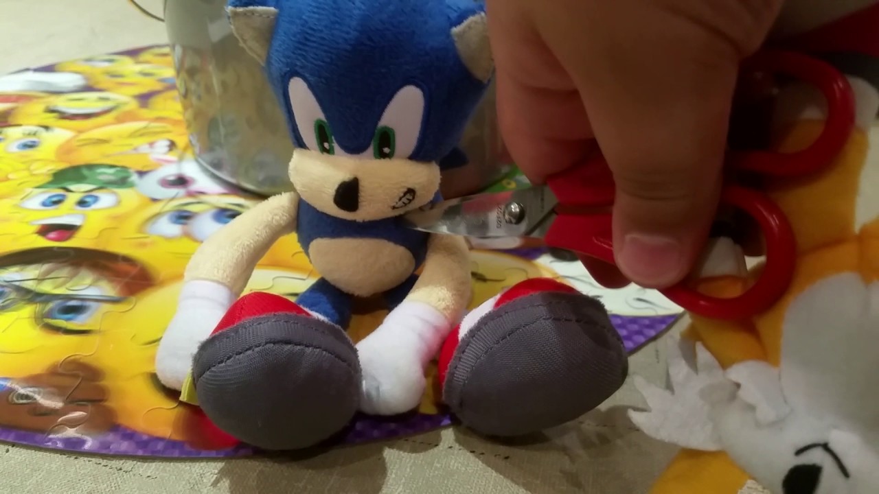 ray plush sonic