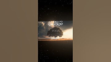 سورة الشعراء|100-104|القارئ:#محمد_اللحيدان #قران #quran #قران_كريم #تلاوة #تلاوة_هادئة #تلاوة_خاشعة
