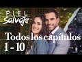 Piel salvaje todos los captulos 01  10  telenovelas gratis