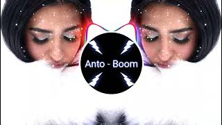 Anastasia - Vrexei (Antoboom Remix)