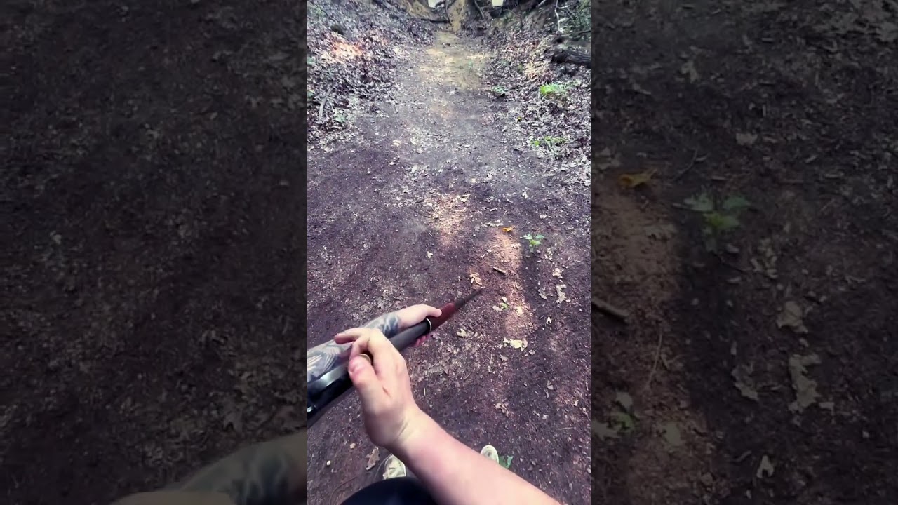 Old shotguns still gets it 