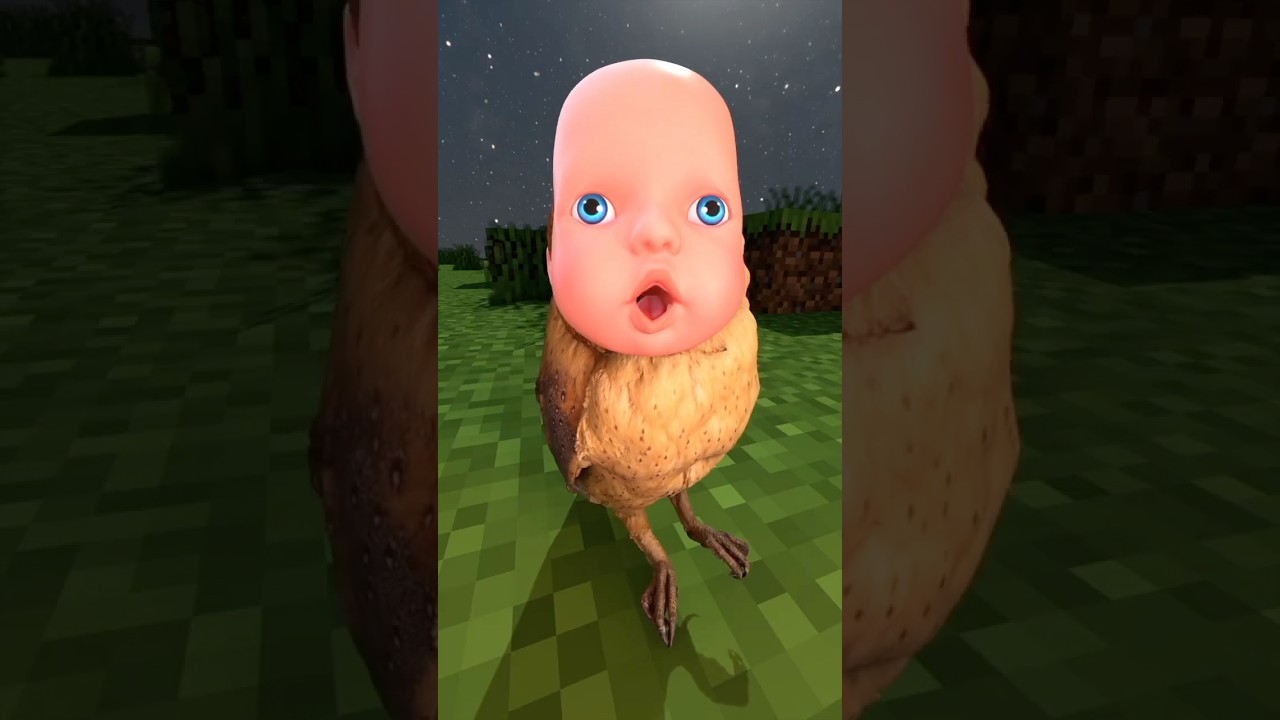 owl - YouTube