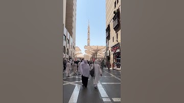 الذين يجتنبون كبائر الإثم والفواحش إلا اللمم #سورة_النجم #الشيخ_ماهر_المعيقلي