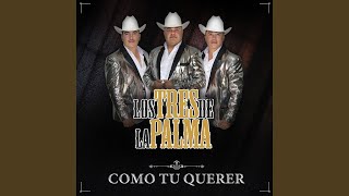 Video thumbnail of "Los tres de la palma - Por Vez Primera"