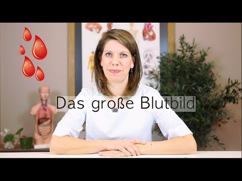 Video: Unterschied Zwischen Granulozyten Und Agranulozyten