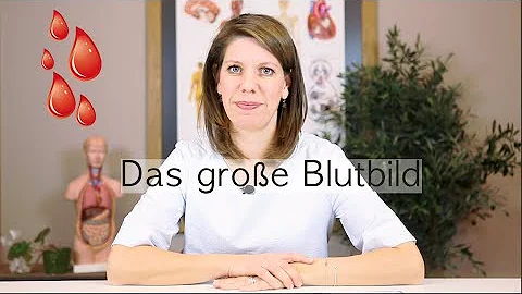 Wie teuer ist ein großes Blutbild?