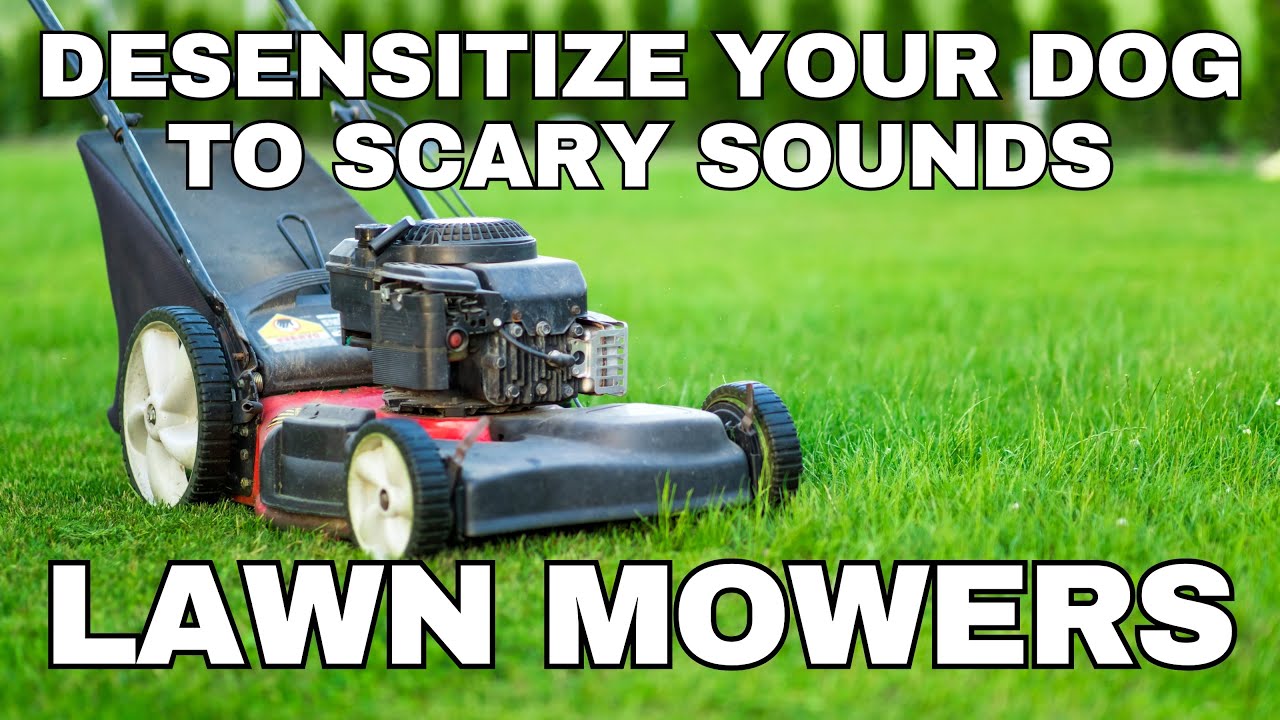 Dog Desensitization Sounds for Dogs & Puppies: Lawn Mowers