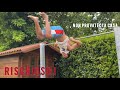Freestyle dopo tanto : FINITO MALE ! 