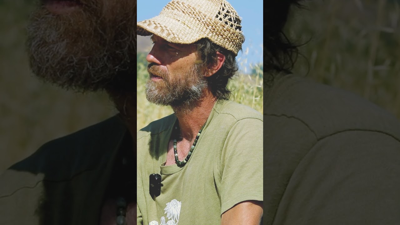 We trust the wisdom of the bees