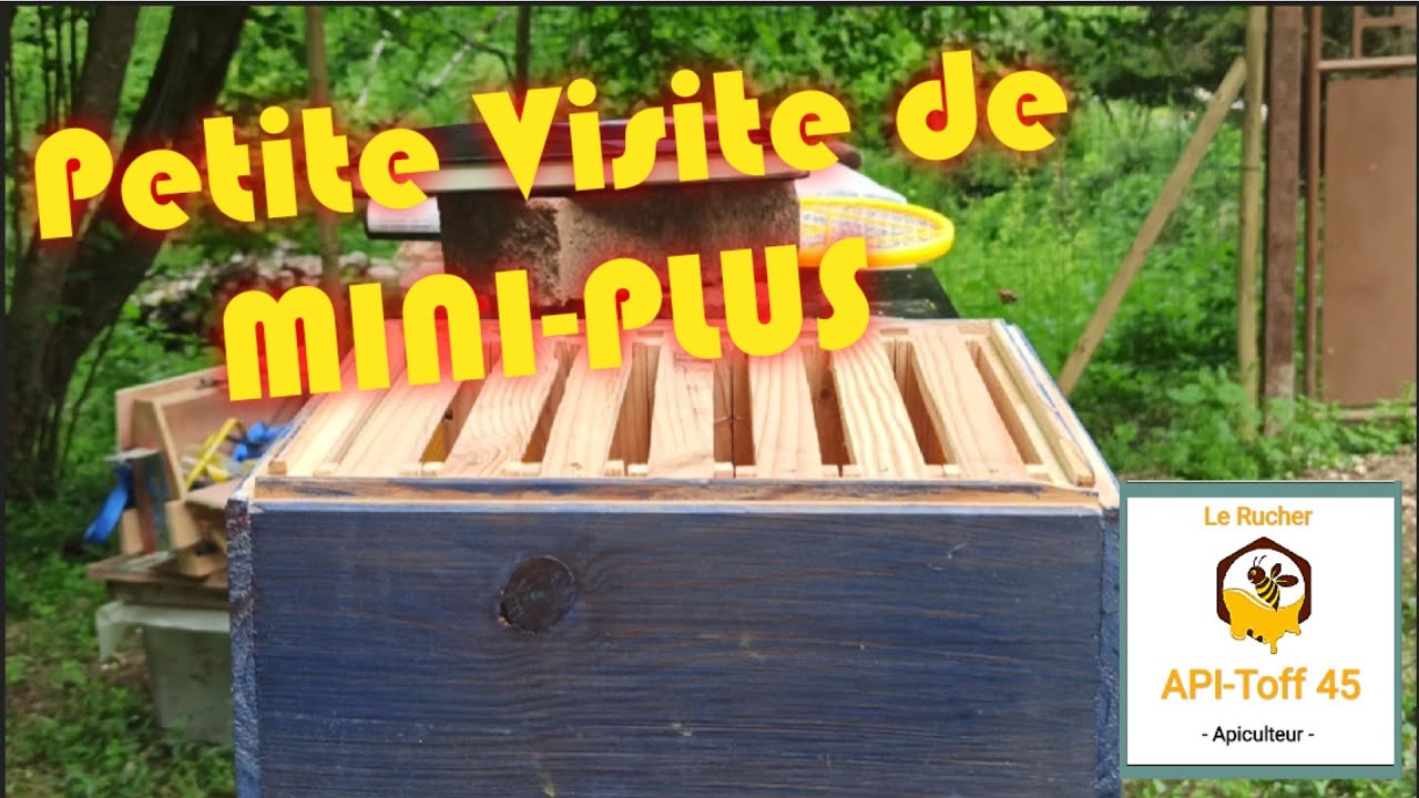 Apiculture 2021 : Visite de MINI-PLUS ou Nuclei du 12 Mai 🍯 - YouTube