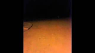 Fantasma blanco en la rioja 2015 real