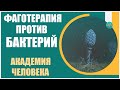 Инфекции с множественной лекарственной устойчивостью. Фаготерапия. Наномир бактериофагов.