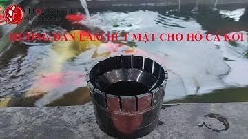 Cá Koi: Hướng Dẫn Chi Tiết Cách Làm Hút Mặt Chuẩn Cho Hồ Cá Koi (Hút mặt xoay)