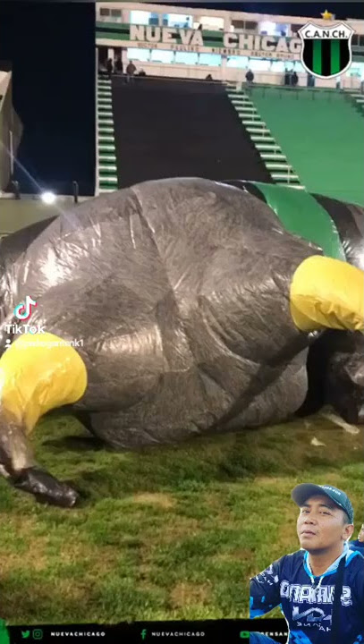 Banteng Terbesar didunia