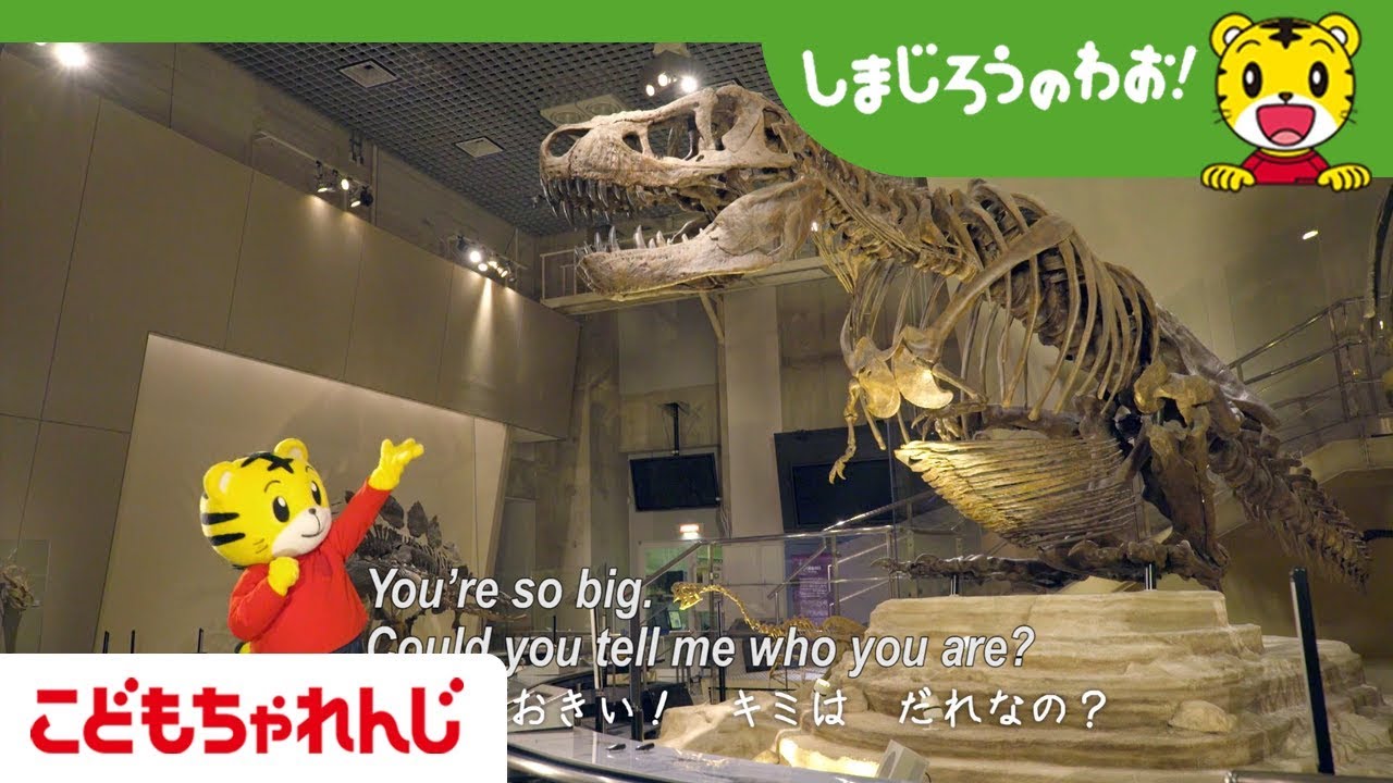 しまじろうのわお きょうりゅう Shimajiro A World Of Wow Episode 268 Dinosaurs しまじろうチャンネル公式 Youtube