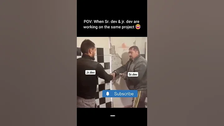 Developers Testing vs Testers Testing #developer #testing