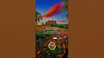 تلاوة هادئة تريح الأعصاب وتهدا النفس