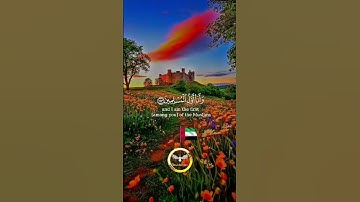 تلاوة هادئة تريح الأعصاب وتهدا النفس