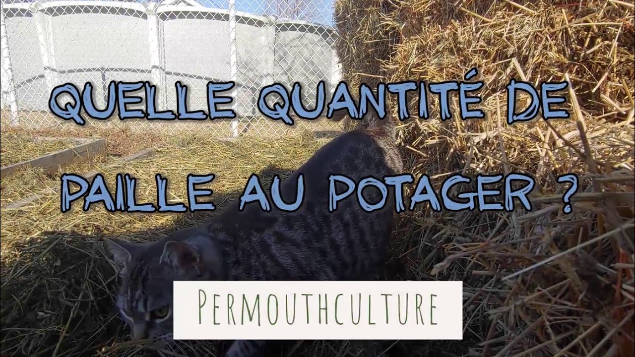 Quelle quantit de paille pour couvrir ton potager 