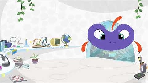 Plumlanding - Feed the dingo