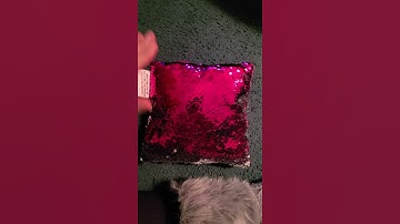 Personalize a Name on a Sequin Pillow
