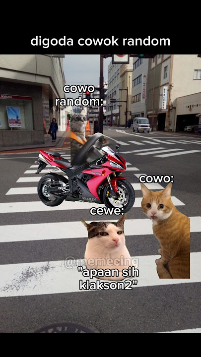 siapa sangka😹 #meme #memekucing #kucing #kucinglucu #shorts #catlovers