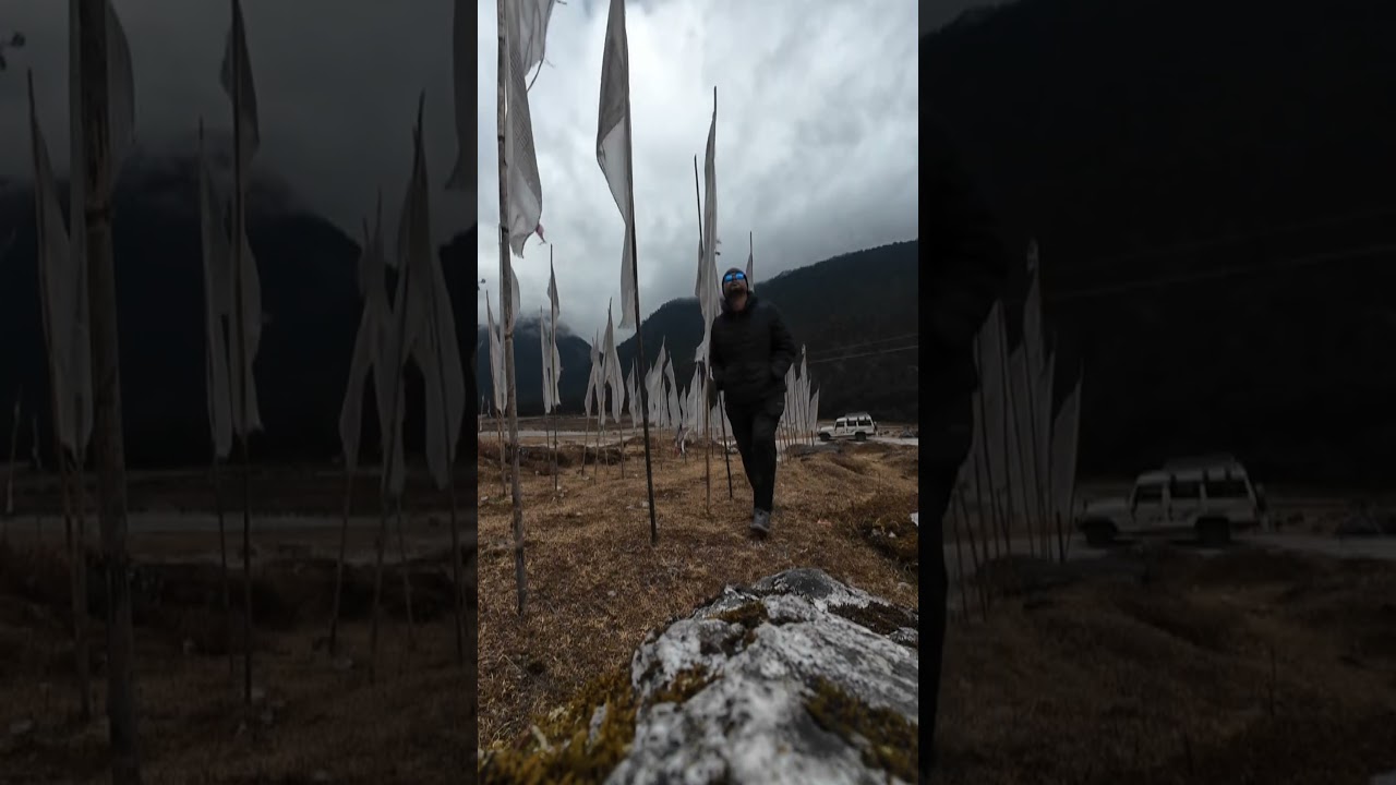 Peace Is My Religion