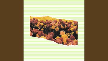 Background for Commuting Summers