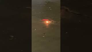 Download Lagu TUNA ARKO REGULAR TEST FIRE🔥#philippines #paputok #fireworks #kingkongarko #newyear2025 #trending MP3