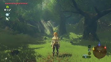 Master Mode Part 4 | Botw Modding