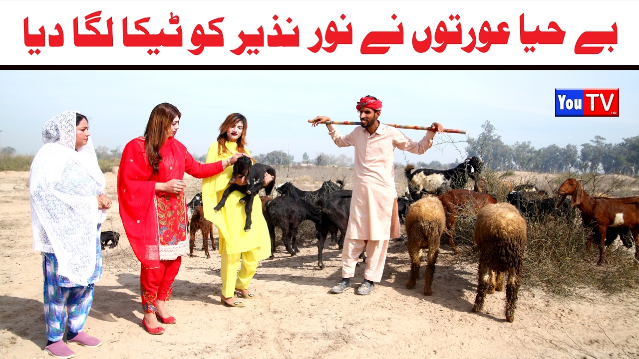 Noor Nazeer Ko Be Haya Urat Ka Tikka New Funny Video | Most Comedy Funny Video | You Tv Hd 2026
