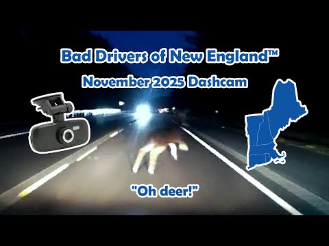 Bad Drivers Of New England 143 November 2025 Dashcam