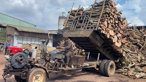 Xe công nông chở củi | khai trương máy nổ mới (Mơ vlogs)