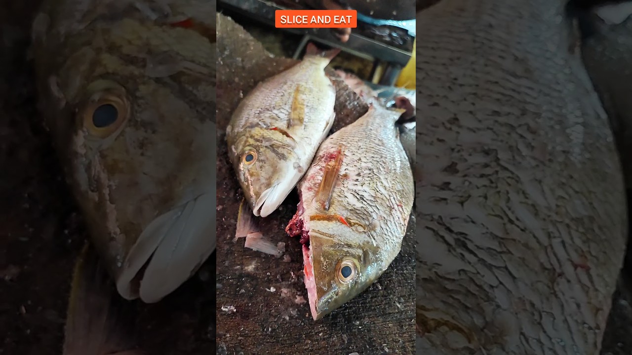 FRESH TASTY VILAI MEEN CUTTING SKILLS BY VENKAT IN ZAM BAZAAR FISH