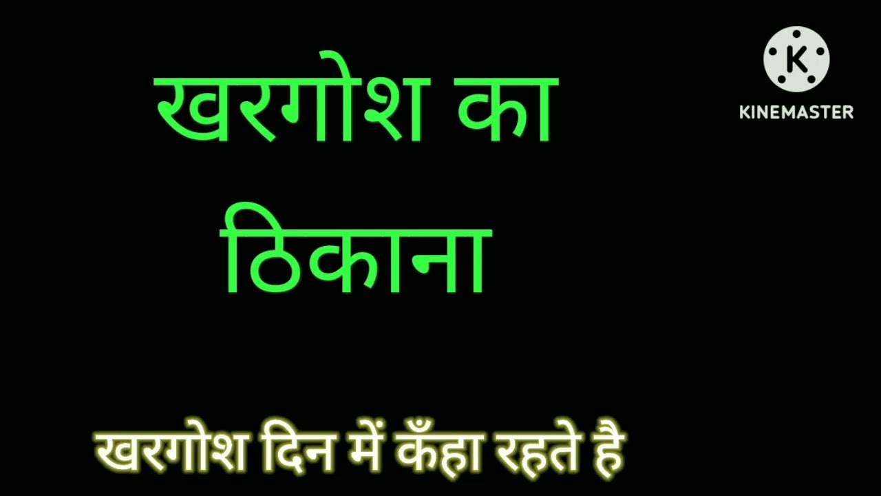 Din Mein Khargosh Kahan Rehte Hain mr sachin op 777 YouTube kahan-rehte-ho-prabhu-kahan-rehte-ho-yeh-tum-batao-youtube