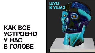 Что может пойти не так у вас в голове? | Медицинский триллер «Шум в ушах»