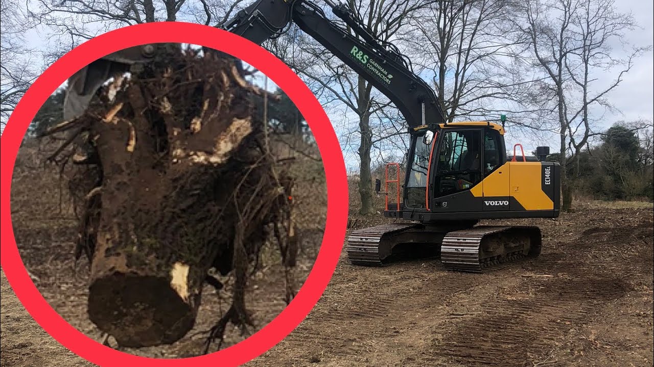Why not test the power of the Volvo EC140EL on some very big stumps!!!