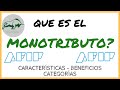 ✔️ Que es el MONOTRIBUTO? Principales Características. (CATEGORÍAS, Beneficios)